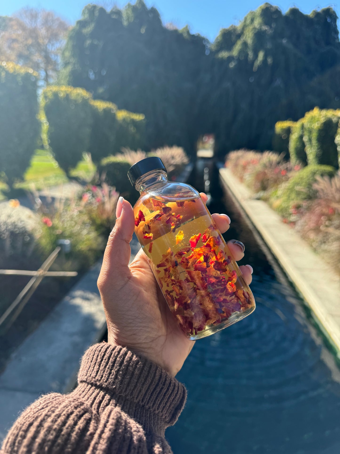 Infused Rose Oil